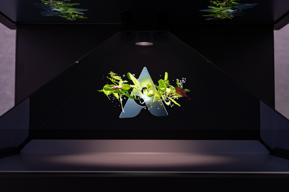 altamura_ologrammi_4