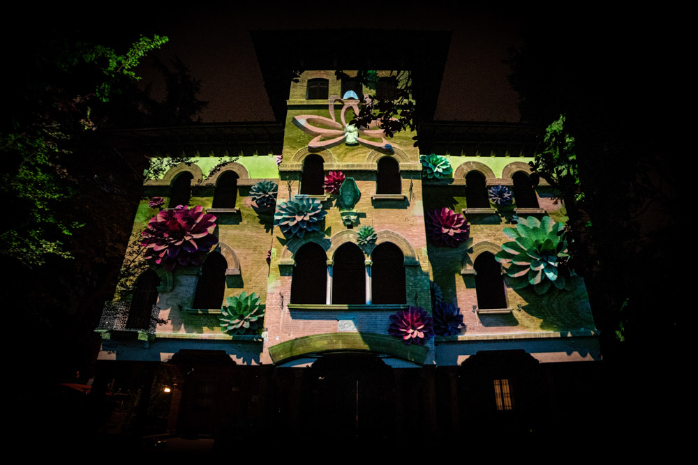 floreo_videomapping_16