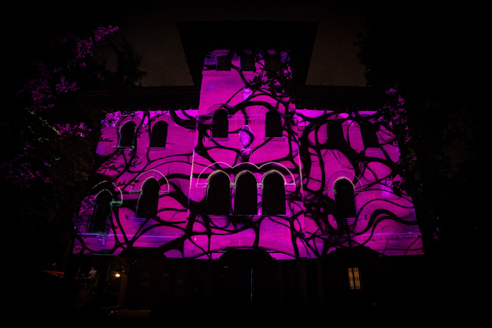 floreo_videomapping_6