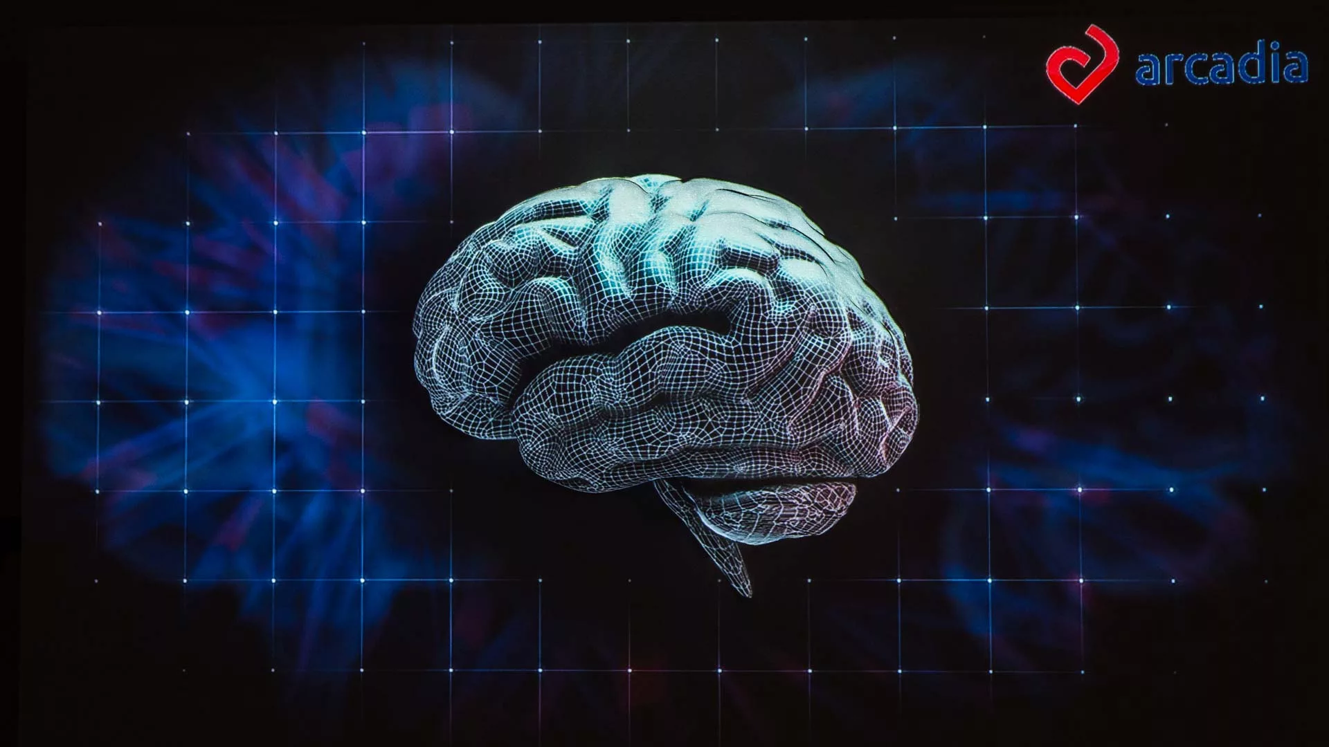 Neuroleadership – Mapping 3D