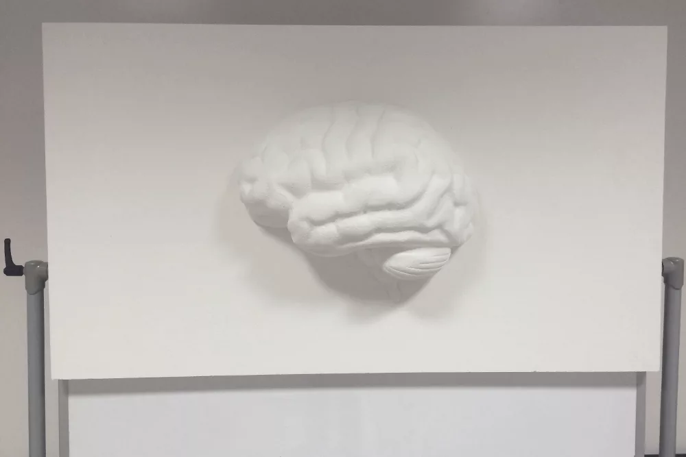 NEUROLEADERSHIP_videomapping_1