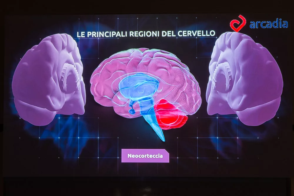 NEUROLEADERSHIP_videomapping_6