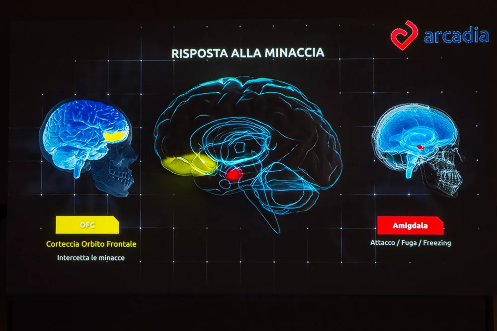 NEUROLEADERSHIP_videomapping_8